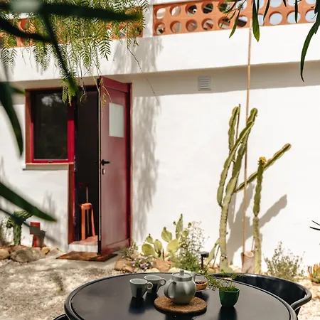 Maison De Et Jardin Botanique A 600m De La Holiday home