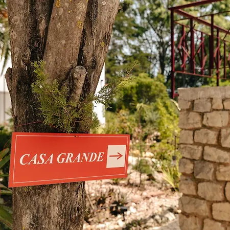 Maison De Et Jardin Botanique A 600m De La * Albufeira