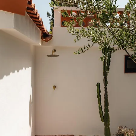 Maison De Et Jardin Botanique A 600m De La Albufeira